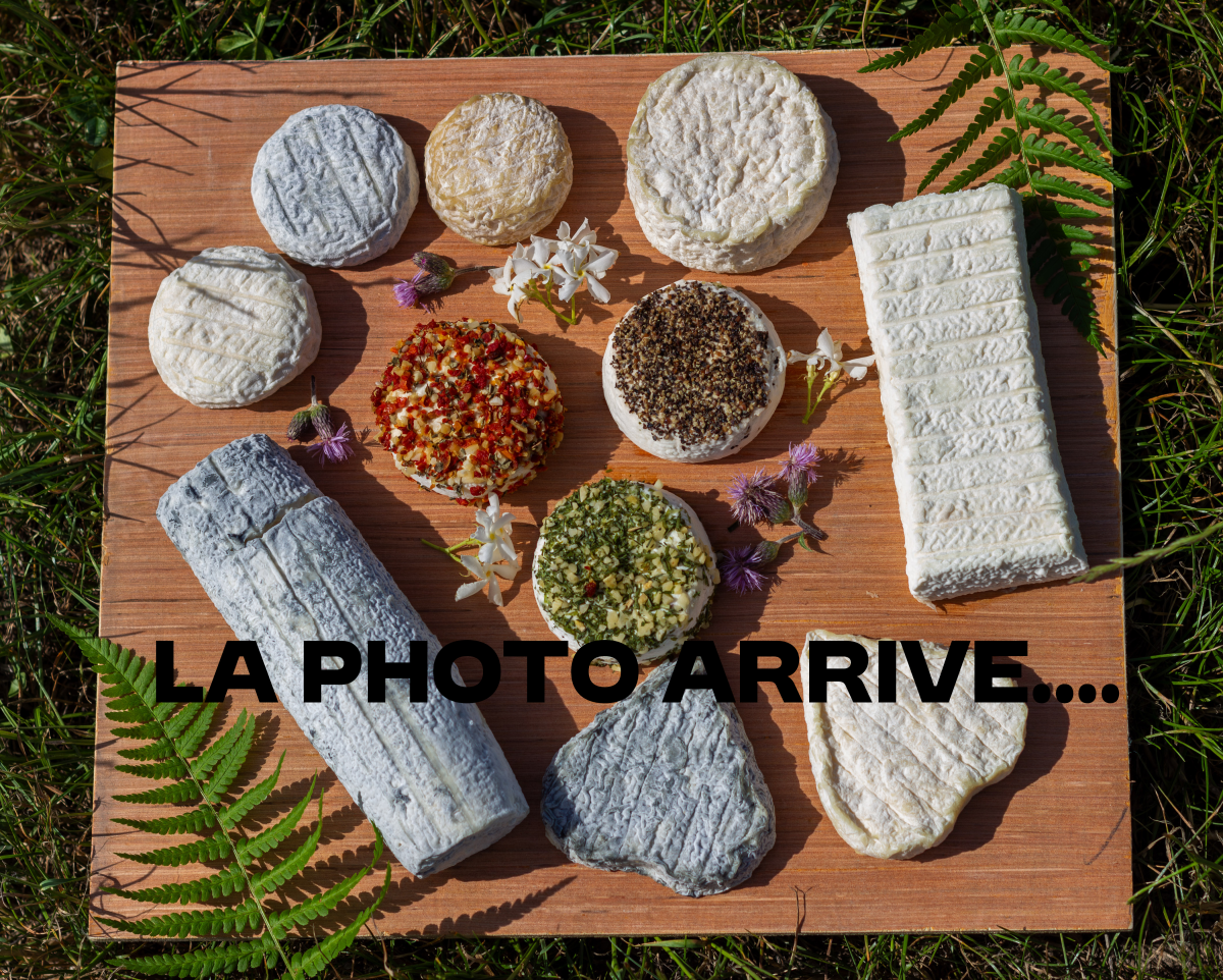 Apéri'chèvre Bio