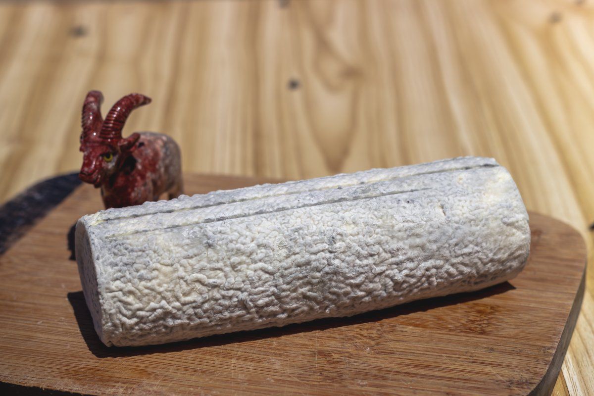 Bûche cendrée Bio